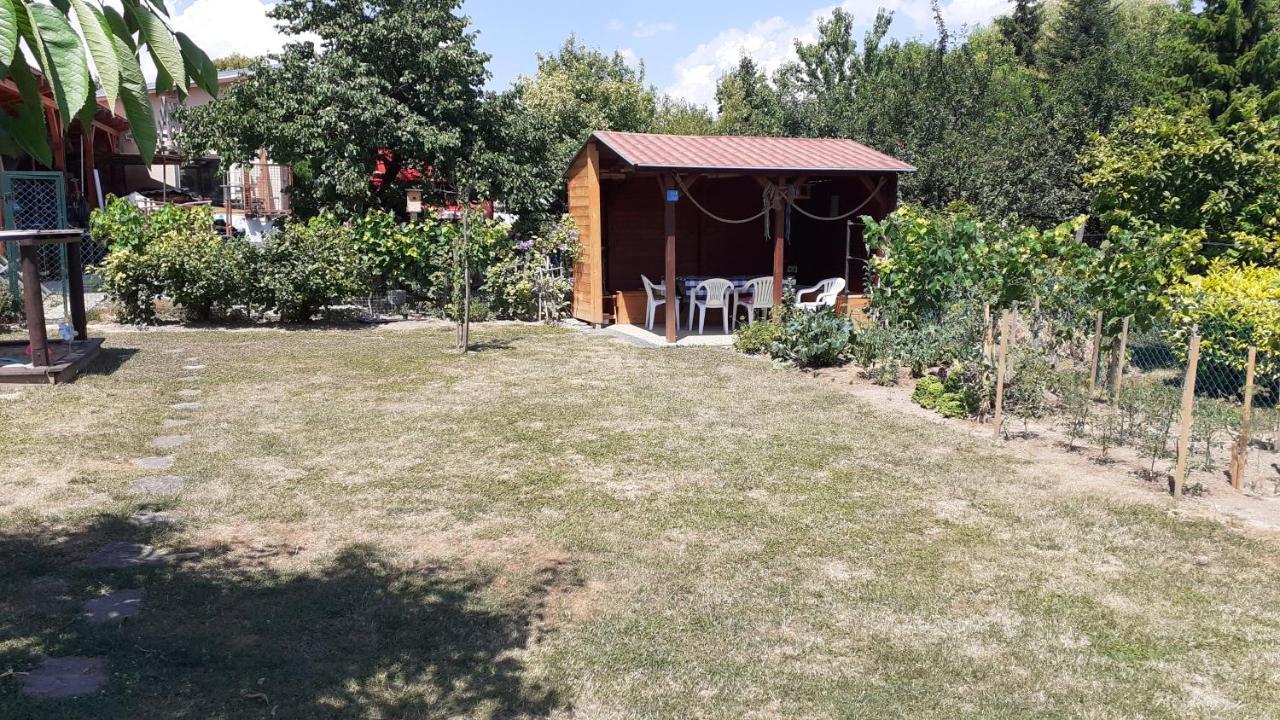 Patri Apartmanhaz كيستاي المظهر الخارجي الصورة